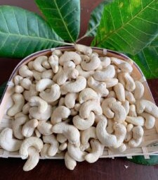 Tại Sao Phương Tây Thích Ăn Hạt Điều Việt Nam