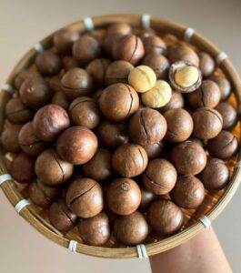 Hạt Dinh Dưỡng Macca nguyên vỏ 500gr – NET WT 440 Gr 15.52 O.Z